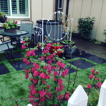 Steilacoom Courtyard Garden