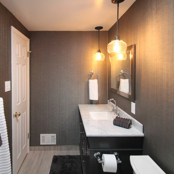 Luxe Transitional Centennial Guest Bath Remodel