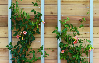 10 Ways a Trellis Can Boost Your Outdoor Space