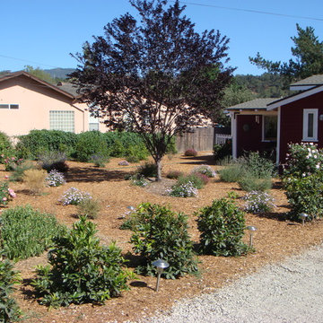 various photos