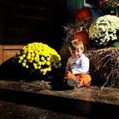 Amanda Palmer's photo
