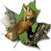 Donna Faux's photo