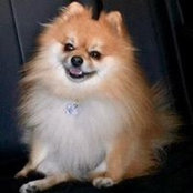 Yvette Carling's photo