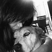 Heather Herrington's photo