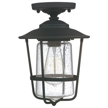 Capital Lighting Creekside 1 Light Outdoor Ceiling, 12", Black, Clear