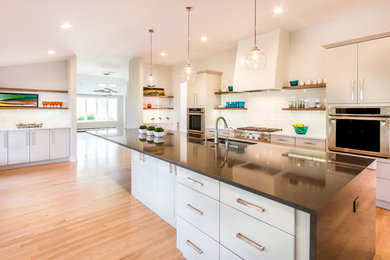 Kitchen - modern kitchen idea in Denver