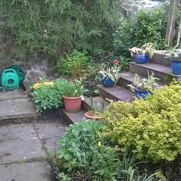 Rural Family Garden - Before