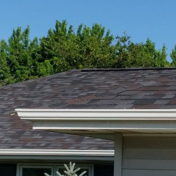 Legacy - Black Oak