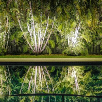 Backyard Best Outdoor Lighting Service