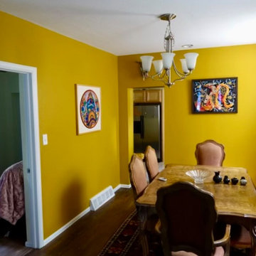 Emergency Mold Mitigation Rainbow House Repaint