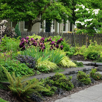 A garden for all seasons