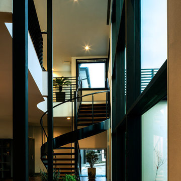 Black and White House