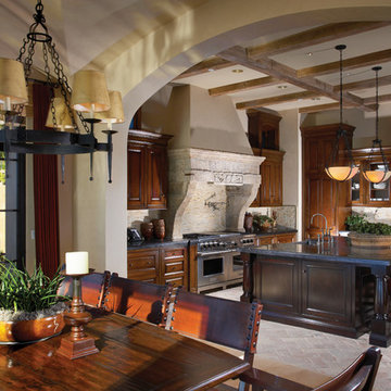 Dining room fireplace
