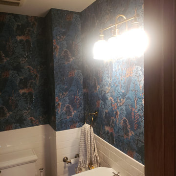 CHicago Lakeview. Old wallpaper removal and new wallpaper installation
