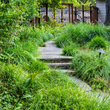Grassy Meadow Oasis - Reduces Waste While Increasing Habitat