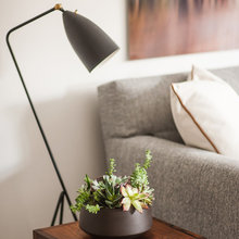 Plants & Accessories