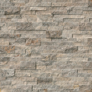 Inside Wall- Silver Travertine 6X24 Ledger Panel