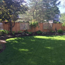 Garden back fence