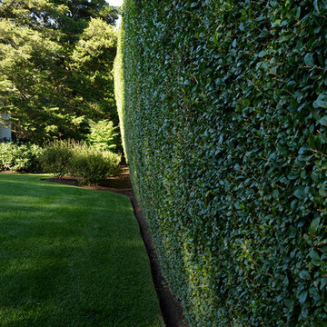 LaurelRock Company: Middle Lane