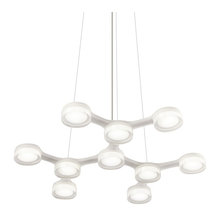 New House Products