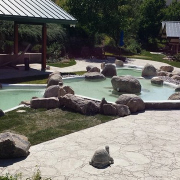 Dog Ponds