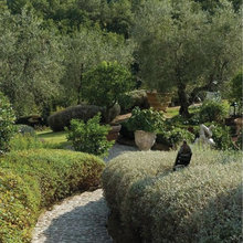 Giardini