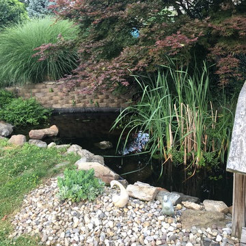 Pond build