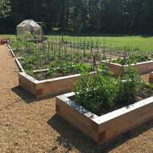 Kitchen Garden