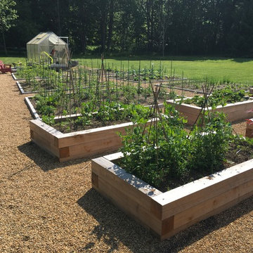 Vegetable Garden