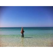 Joe Pickett's photo