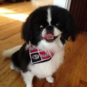 Cindy Rosato's photo