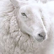 Foto von Mary Choberka