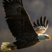 Foto von Rick Griffith