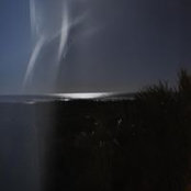 Susan Stauber's photo