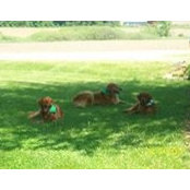 Dawn Kaderabek's photo