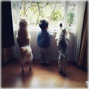 Foto von Winnie W. Ng