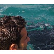 Foto von Omar Issa