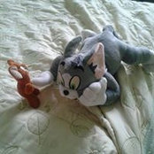 Michael Karuru's photo