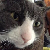 Laurie Scofield's photo