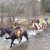Foto von Sharon Tharp