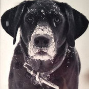 Gina Daley's photo