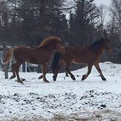 Krista Reader-Chatman's photo