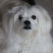 Penny Nunn's photo