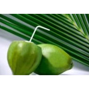 Kathy Conley's photo