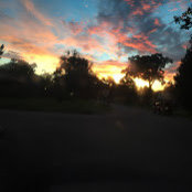 Melissa Grant's photo