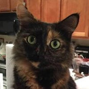 Kathy Johansen's photo