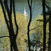 Lisa Whitridge's photo