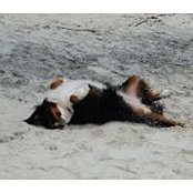 Terri Nash's photo