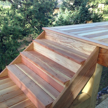 Evergreen Solitude Ln. Custom Deck