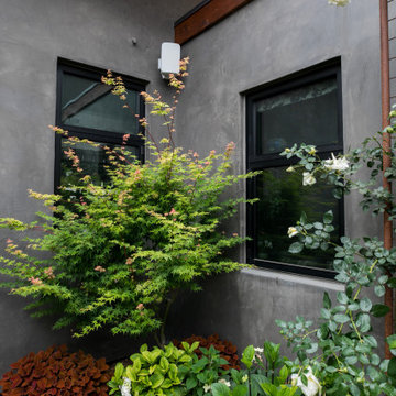 Las Ventanas Hillside Residence